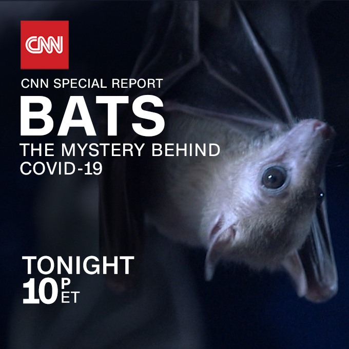 BATS CNN Special Report 2020